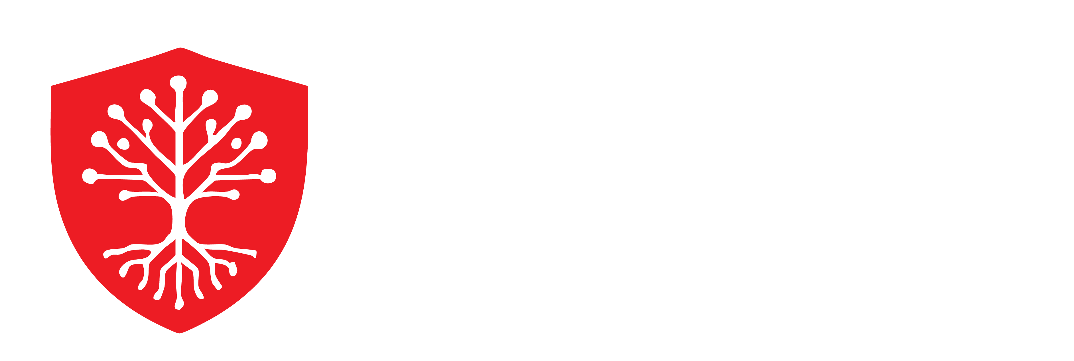 ROOT Logo